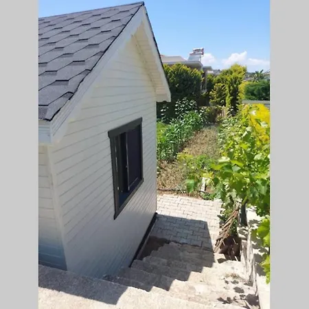 Otuz 5 Tiny House Uecretli Serpme Kahvalti *